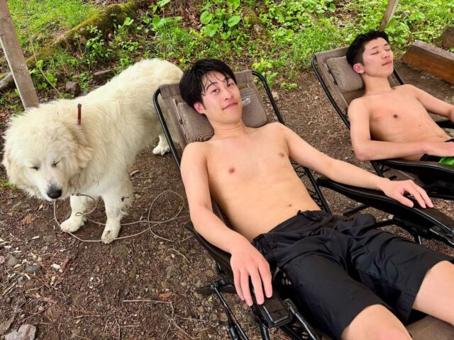 サウナーの皆さん必見♨️
松原キャンプ場では今絶好のサウナシーズン到来中です‼️

テントの中は80℃以上🥵
湖水は13℃🥶
外気は15〜20℃😌
この温度のギャップが👍

なおテントサウナは、夏休み中繁忙期は実施できませんのでご了解ください。

サウナーの方も、初めての方も、この機会にぜひ⛺️♨️

#松原キャンプ場
#テントサウナ
#キャンプ
#グレートピレニーズ